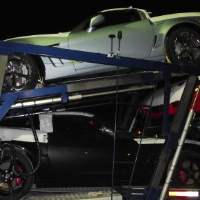 Otro avistamiento muy&nbsp;especial.