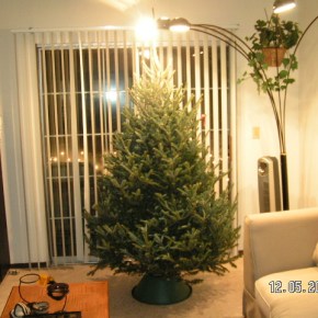 Natural o Artificial?