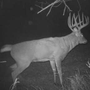 Leccion no aprendida.