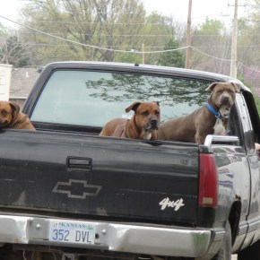 Los parientes pobres.