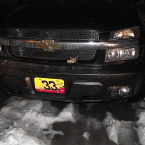 Adornos silvestres Chevrolet.