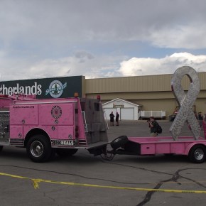 Los Pinkies Bomberos.