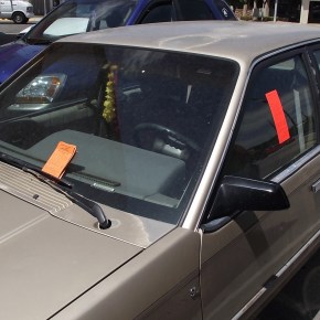 Acumulando o coleccionando.