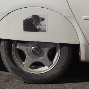 Actualizacion accesorios raros, moda&nbsp;rara.