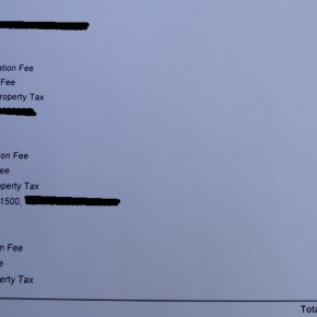 Ratas de 2 patas. Parte&nbsp;2.