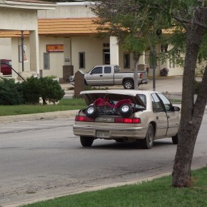 Distintos vehiculos, misma&nbsp;utilidad.