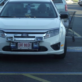 Para ver y encandilar&nbsp;mejor.