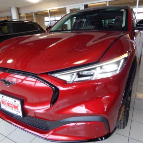 Ford Mustang Mach-E 2021: Caballo&nbsp;electrocutado.